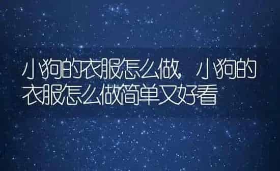 小狗的衣服怎么做,小狗的衣服怎么做简单又好看 | 养殖学堂