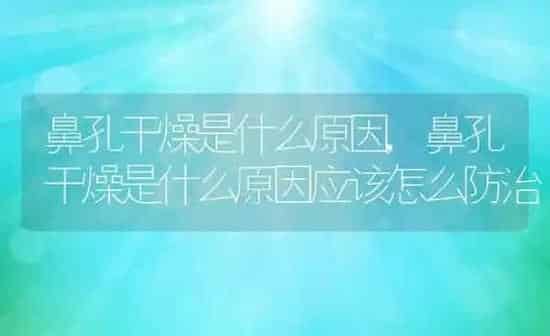 鼻孔干燥是什么原因,鼻孔干燥是什么原因应该怎么防治 | 养殖资料