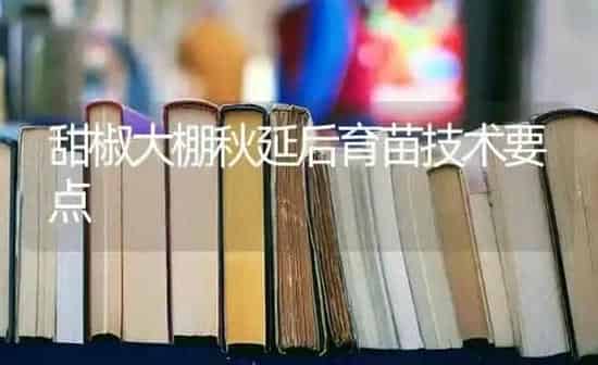 甜椒大棚秋延后育苗技术要点 | 养殖知识