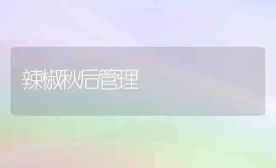 辣椒秋后管理 | 养殖知识