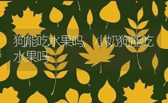 狗能吃水果吗,小奶狗能吃水果吗 | 养殖学堂