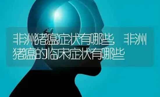 非洲猪瘟症状有哪些,非洲猪瘟的临床症状有哪些 | 养殖学堂