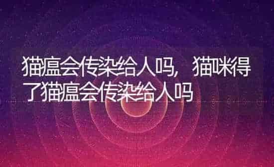 猫瘟会传染给人吗,猫咪得了猫瘟会传染给人吗 | 养殖资料