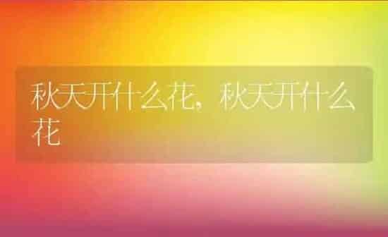 向日葵花的介绍与特点,向日葵花的介绍与特点 | 养殖科普