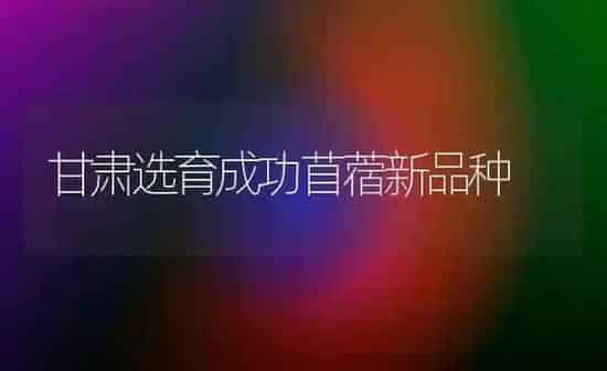 甘肃选育成功苜蓿新品种 | 养殖知识