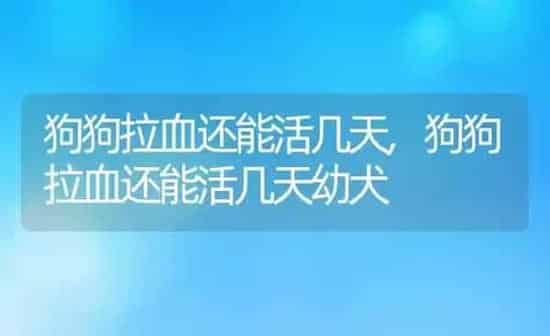 狗狗拉血还能活几天,狗狗拉血还能活几天幼犬 | 养殖资料