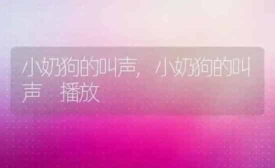 小奶狗的叫声,小奶狗的叫声 播放 | 养殖科普