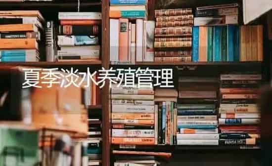 夏季淡水养殖管理 | 养殖知识