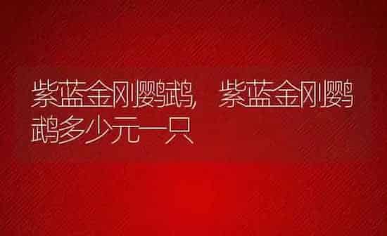 紫蓝金刚鹦鹉,紫蓝金刚鹦鹉多少元一只 | 养殖科普