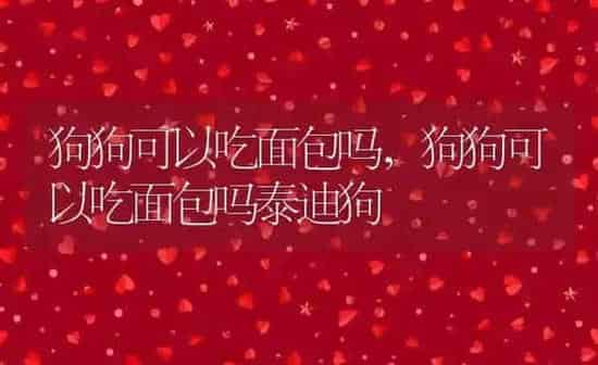 狗狗可以吃面包吗,狗狗可以吃面包吗泰迪狗 | 养殖科普