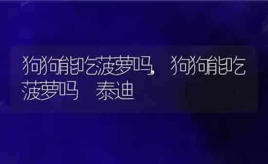 狗狗能吃菠萝吗,狗狗能吃菠萝吗 泰迪 | 养殖科普