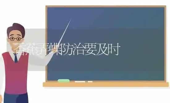 香蕉弄蝶防治要及时 | 养殖知识