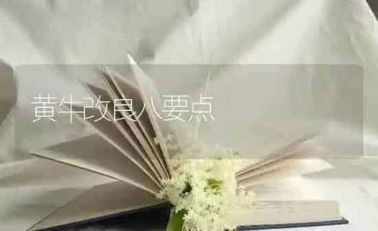 黄牛改良八要点 | 养殖知识