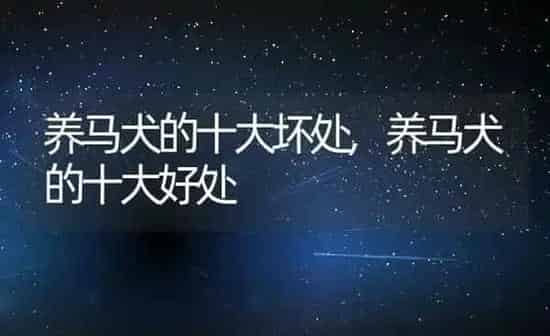 养马犬的十大坏处,养马犬的十大好处 | 养殖资料