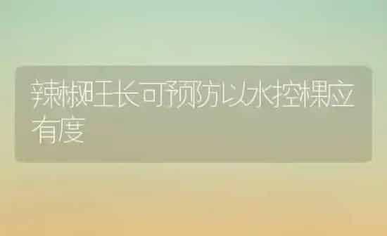 辣椒旺长可预防以水控棵应有度 | 养殖知识