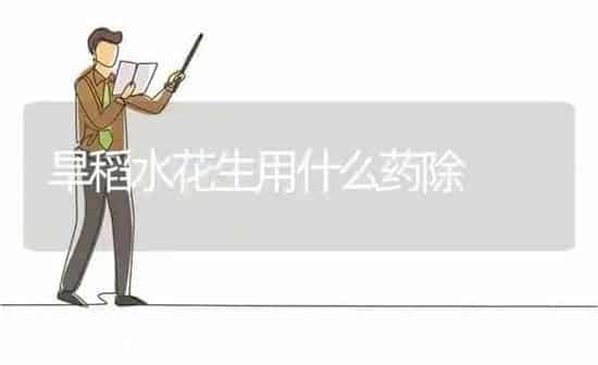 旱稻水花生用什么药除 | 养殖知识
