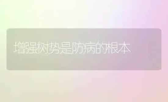 增强树势是防病的根本 | 养殖知识