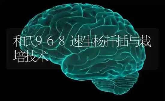 和氏968速生杨扦插与栽培技术 | 养殖技术大全