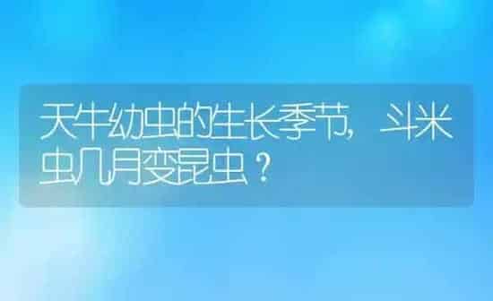 天牛幼虫的生长季节,斗米虫几月变昆虫？ | 养殖科普