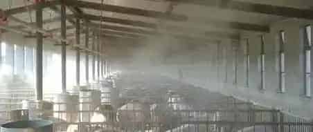 畜禽养殖场的除臭方法 | 实用知识