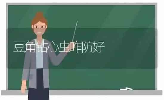 豆角钻心虫咋防好 | 养殖知识
