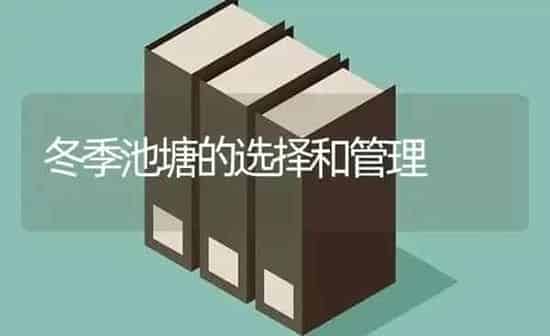 冬季池塘的选择和管理 | 养殖知识