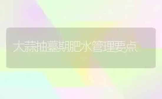 大蒜抽薹期肥水管理要点 | 养殖技术大全