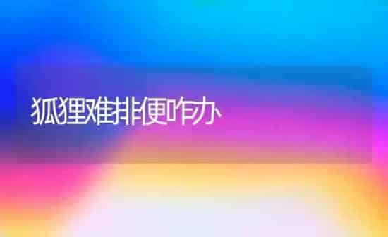 狐狸难排便咋办 | 养殖知识