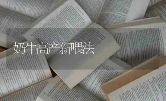 奶牛高产新喂法 | 养殖知识