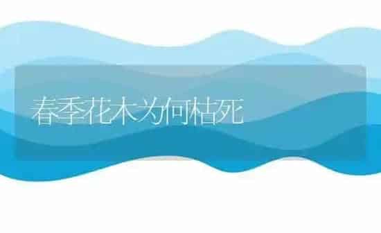 春季花木为何枯死 | 养殖知识