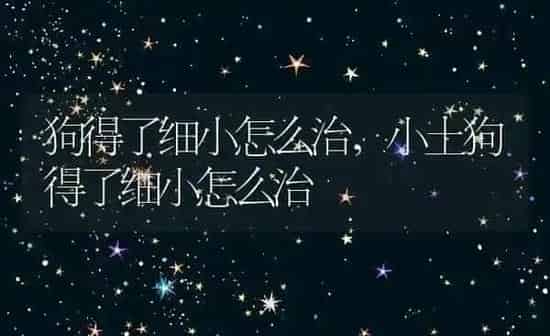 狗得了细小怎么治,小土狗得了细小怎么治 | 养殖科普
