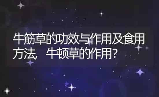 牛筋草的功效与作用及食用方法,牛顿草的作用？ | 养殖科普