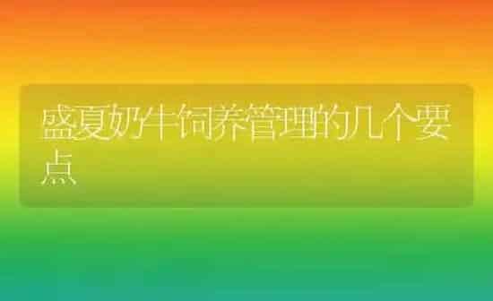 盛夏奶牛饲养管理的几个要点 | 养殖知识