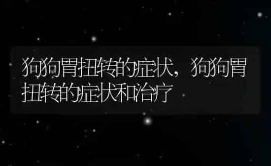 狗狗胃扭转的症状,狗狗胃扭转的症状和治疗 | 养殖科普