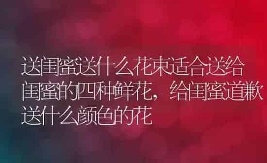 送闺蜜送什么花束适合送给闺蜜的四种鲜花,给闺蜜道歉送什么颜色的花 | 养殖学堂