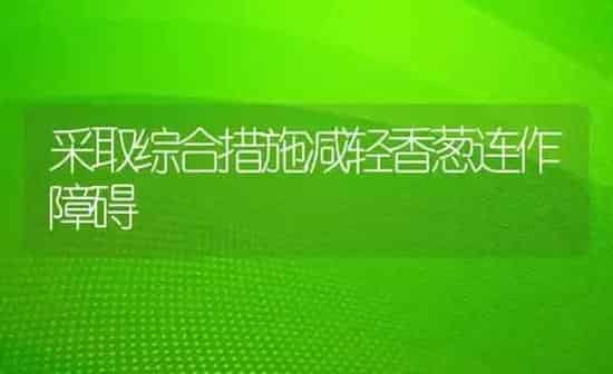 采取综合措施减轻香葱连作障碍 | 养殖知识