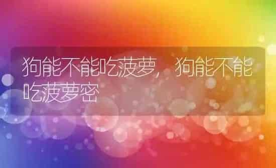 狗能不能吃菠萝,狗能不能吃菠萝密 | 养殖科普