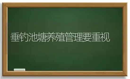 垂钓池塘养殖管理要重视 | 养殖知识
