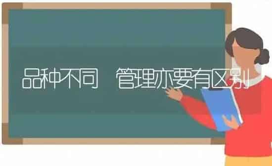 品种不同 管理亦要有区别 | 养殖知识