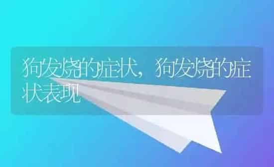 狗发烧的症状,狗发烧的症状表现 | 养殖科普