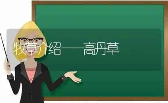 牧草介绍——高丹草 | 养殖知识