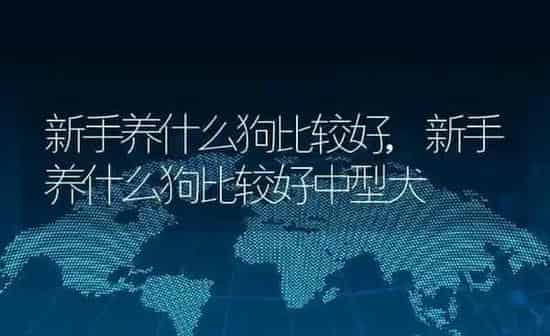 新手养什么狗比较好,新手养什么狗比较好中型犬 | 养殖科普
