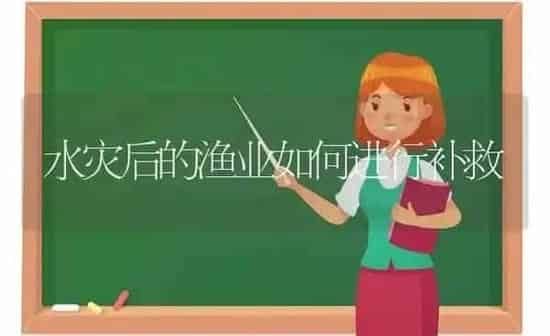 水灾后的渔业如何进行补救 | 养殖技术大全