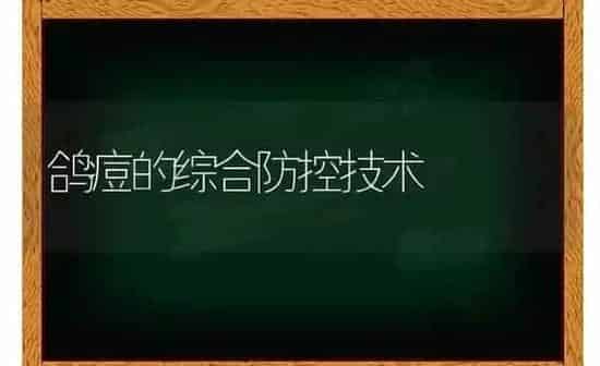 鸽痘的综合防控技术 | 养殖知识