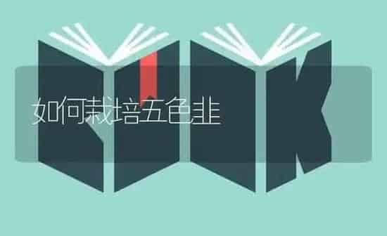 如何栽培五色韭 | 养殖知识