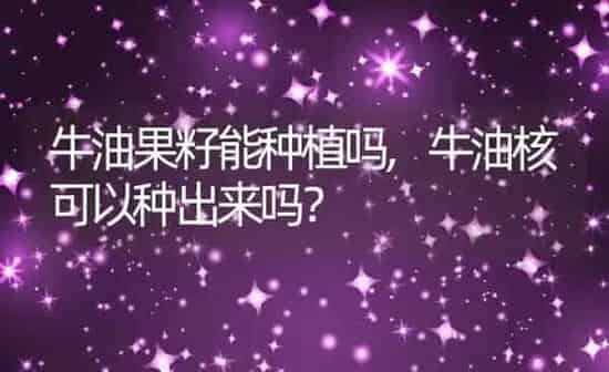 牛油果籽能种植吗,牛油核可以种出来吗？ | 养殖科普