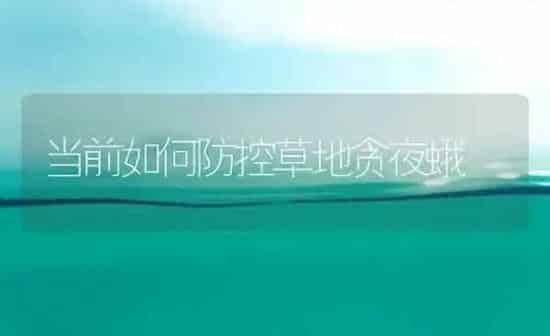 当前如何防控草地贪夜蛾 | 养殖技术大全