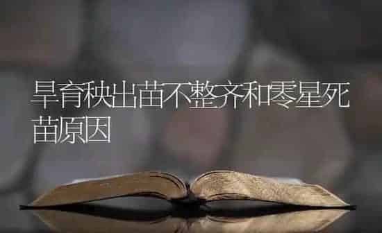 旱育秧出苗不整齐和零星死苗原因 | 养殖知识