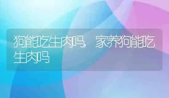 狗能吃生肉吗,家养狗能吃生肉吗 | 养殖科普