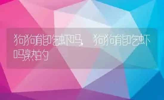 狗狗能吃虾吗,狗狗能吃虾吗熟的 | 养殖科普